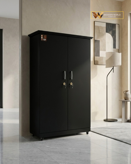 Modern Black 2-Door Wardrobe